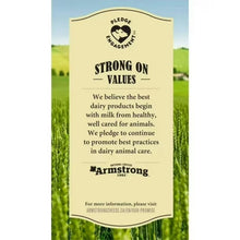 Load image into Gallery viewer, Cheese | Armstrong Sticks - Marble Cheddar 10 Pack x 21 g