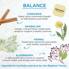 Load image into Gallery viewer, Bigelow Benefits | Balance Cinnamon and Blackberry Herbal Tea