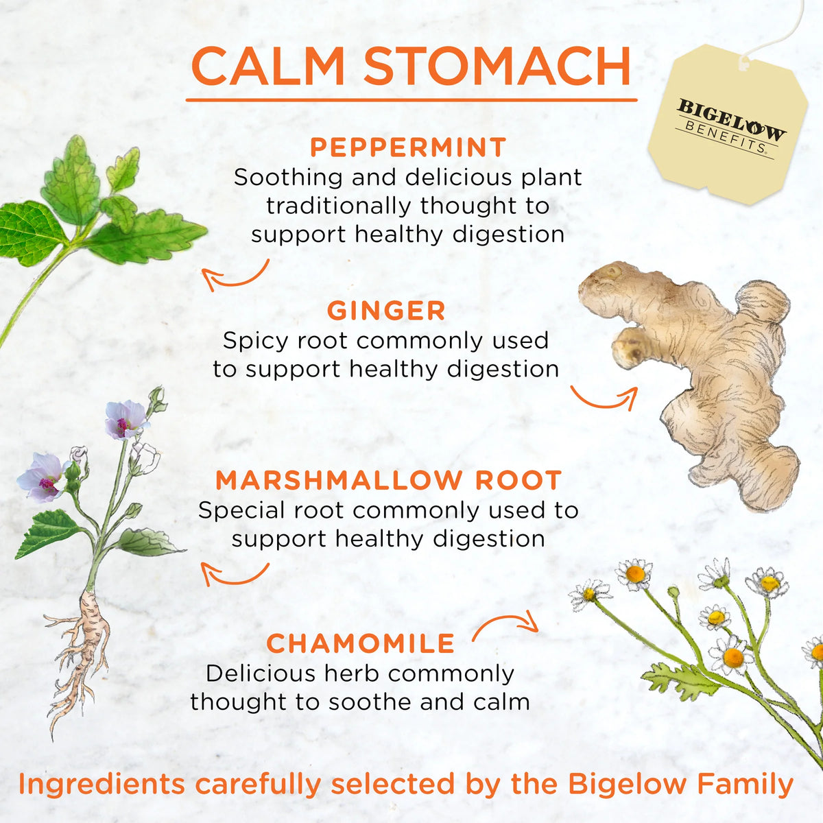 Bigelow Benefits Calm Stomach Ginger and Peach Herbal Tea On The