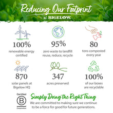 Load image into Gallery viewer, Bigelow Benefits | Radiate Beauty Blueberry and Aloe Herbal Tea