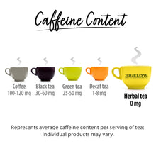Load image into Gallery viewer, Bigelow Benefits | Radiate Beauty Blueberry and Aloe Herbal Tea