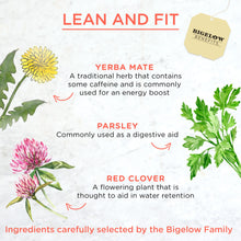 Load image into Gallery viewer, Bigelow Benefits | Lean and Fit Citrus and Oolong Tea