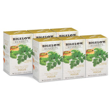 Load image into Gallery viewer, Bigelow Benefits | Focus Moringa and Black Tea