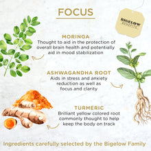 Load image into Gallery viewer, Bigelow Benefits | Focus Moringa and Black Tea