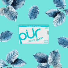 Load image into Gallery viewer, pur gum | Wintergreen - 12 Packs x 9 Pieces