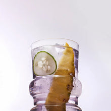 Load image into Gallery viewer, Barbet | Light Wave - 12 Cans x 355 mL
