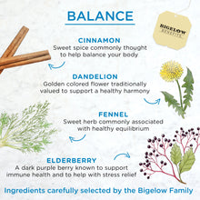 Load image into Gallery viewer, Bigelow Benefits | Balance Cinnamon and Blackberry Herbal Tea
