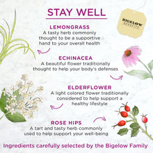 Load image into Gallery viewer, Bigelow Benefits | Stay Well Lemon and Echinacea Herbal Tea

