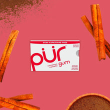 Load image into Gallery viewer, pur gum |  Cinnamon - 12 Packs x 9 Pieces

