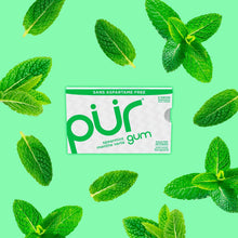 Load image into Gallery viewer, pur gum |  Spearmint - 12 Packs x 9 Pieces
