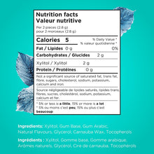 Load image into Gallery viewer, pur gum |  Wintergreen - 12 Packs x 9 Pieces
