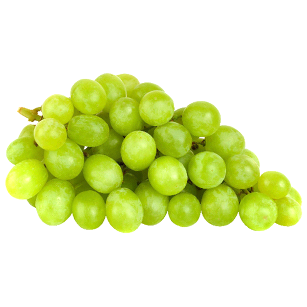 Green Seedless Grapes